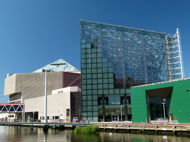 Click to See Next Image