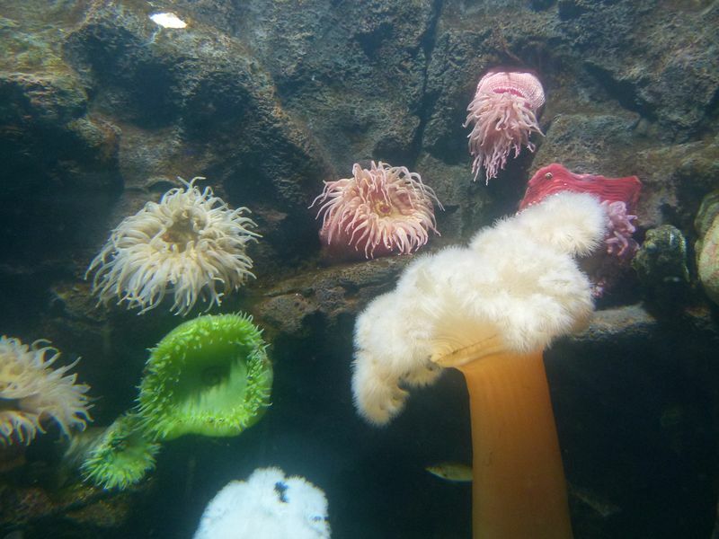 Click to See Next Image