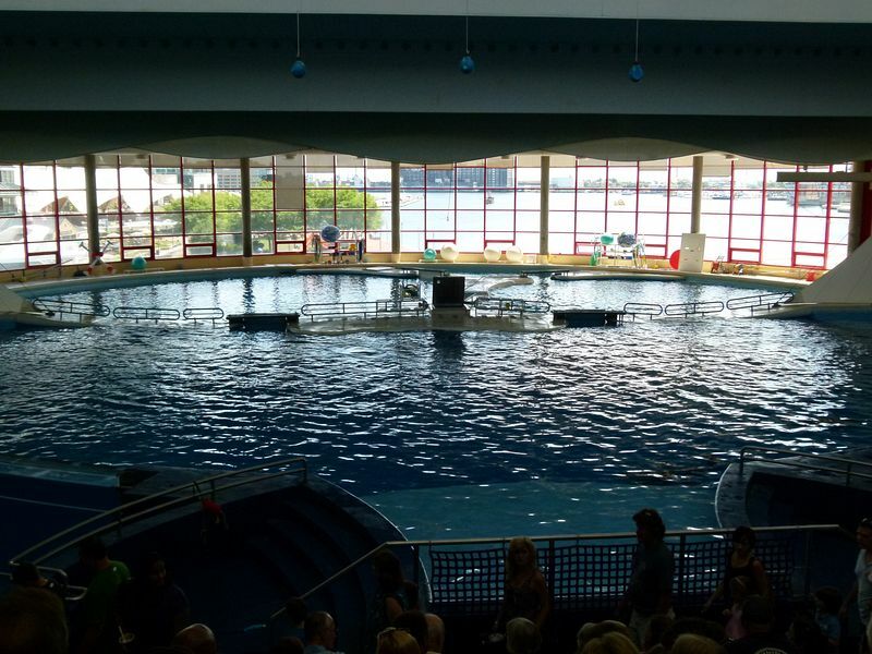 Click to See Next Image