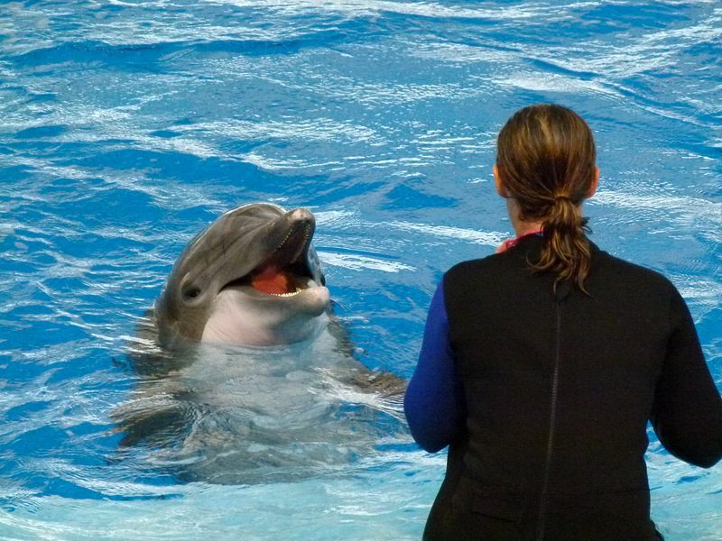 Click to See Next Image