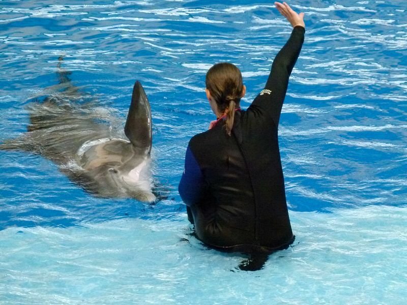 Click to See Next Image