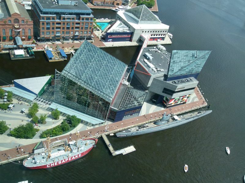 Click to See Next Image