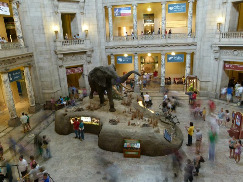 Click to See Next Image