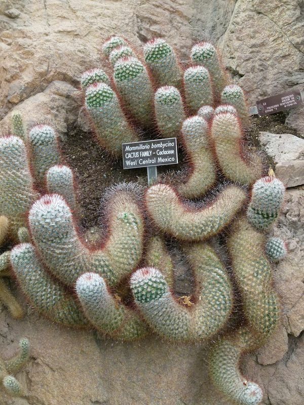 Click to See Next Image