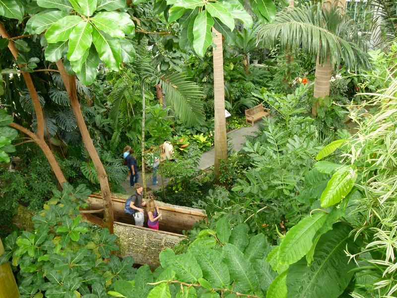 Click to See Next Image