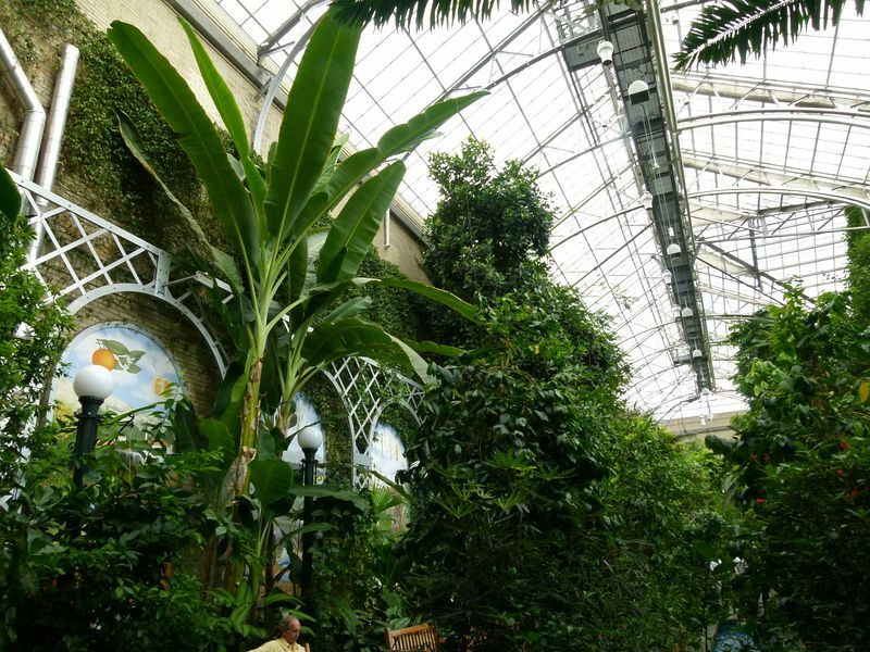 Click to See Next Image