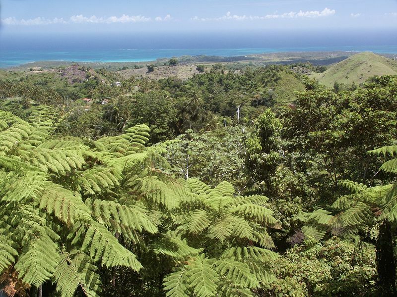 Click to See Next Image