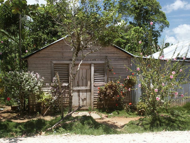 Click to See Next Image