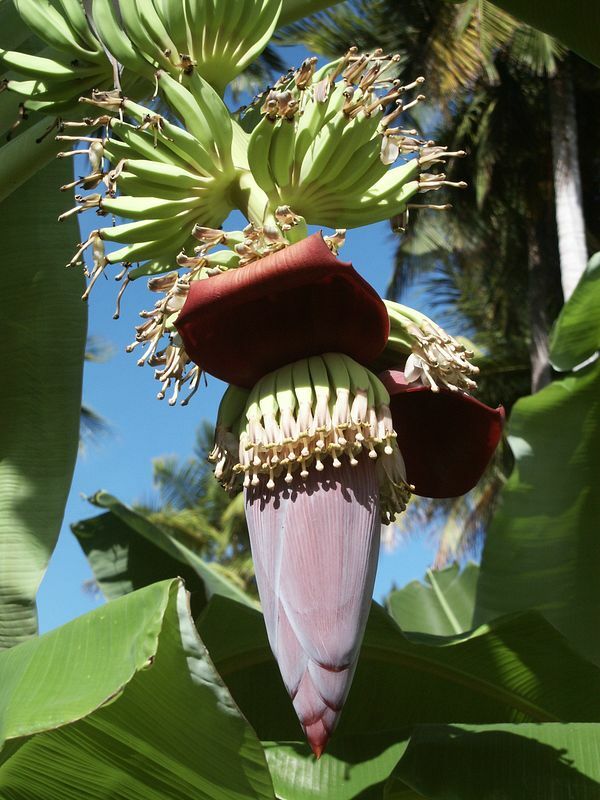 Click to See Next Image