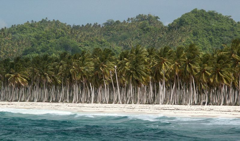 Click to See Next Image