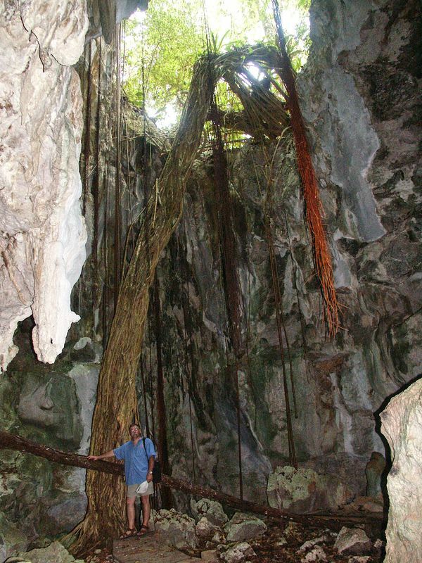 Click to See Next Image