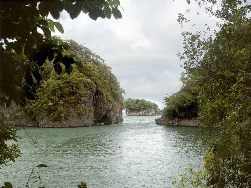 Click to See Next Image