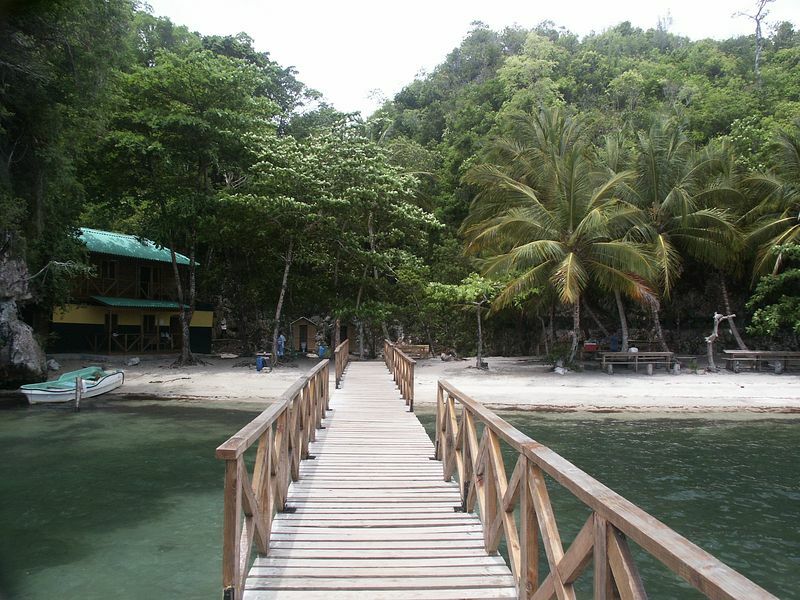 Click to See Next Image