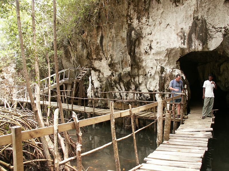 Click to See Next Image