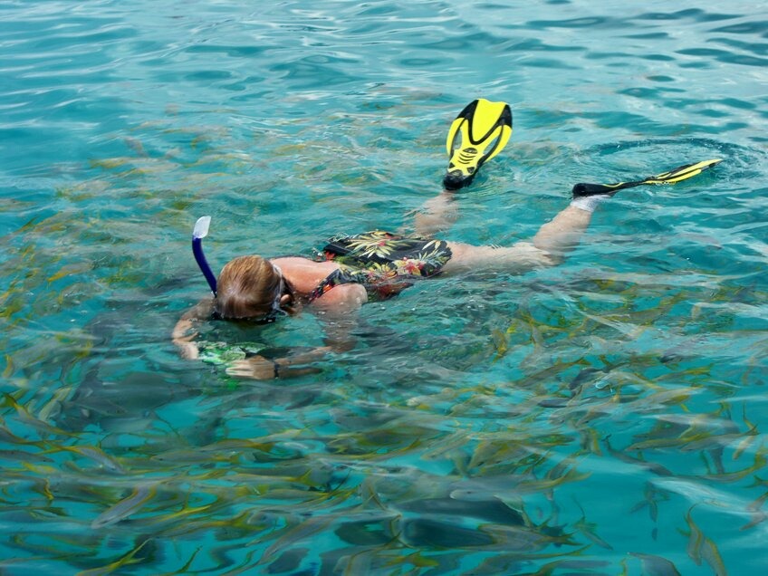 Click to See Next Image