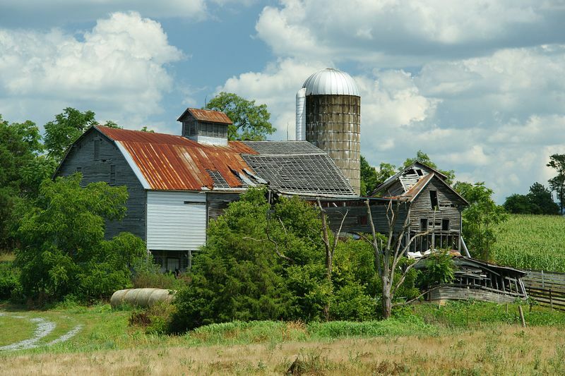 Click to See Next Image