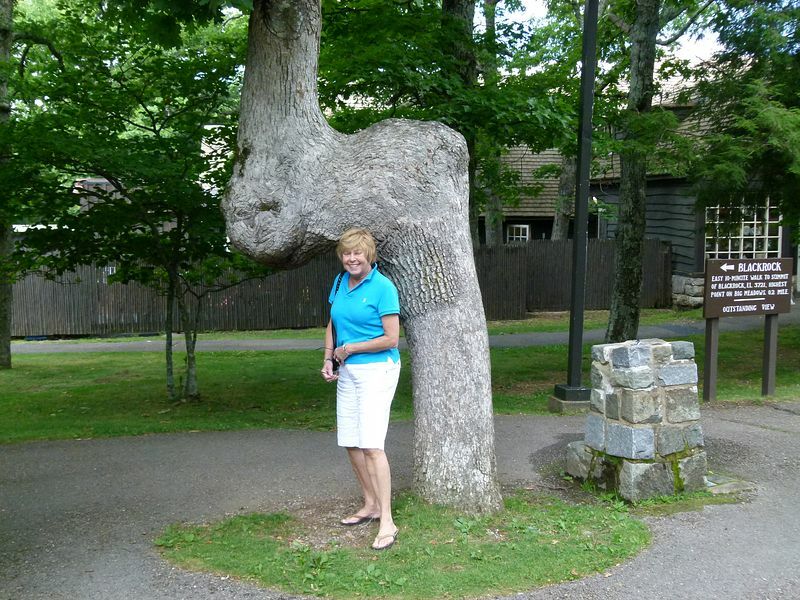 Click to See Next Image