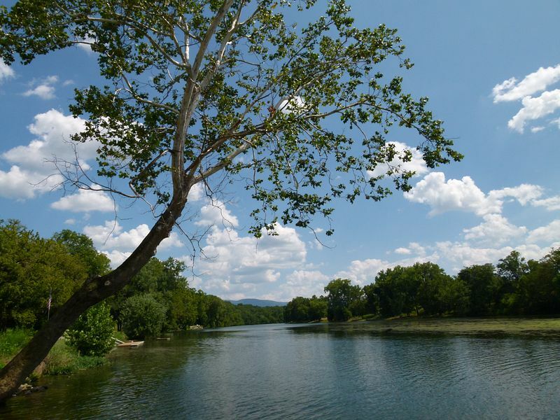 Click to See Next Image