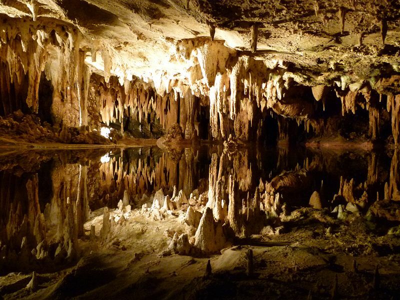 Click to See Next Image