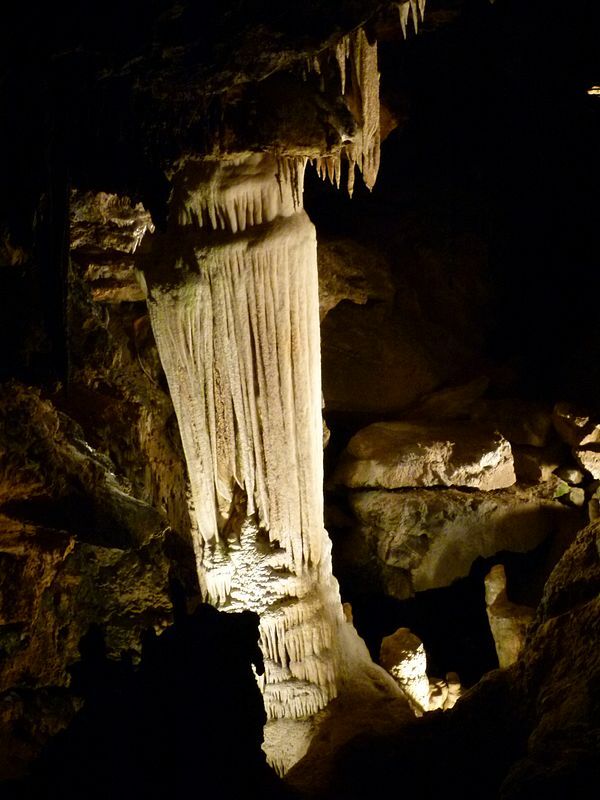 Click to See Next Image