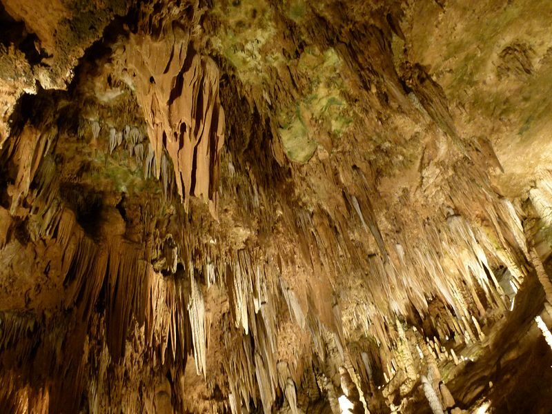 Click to See Next Image