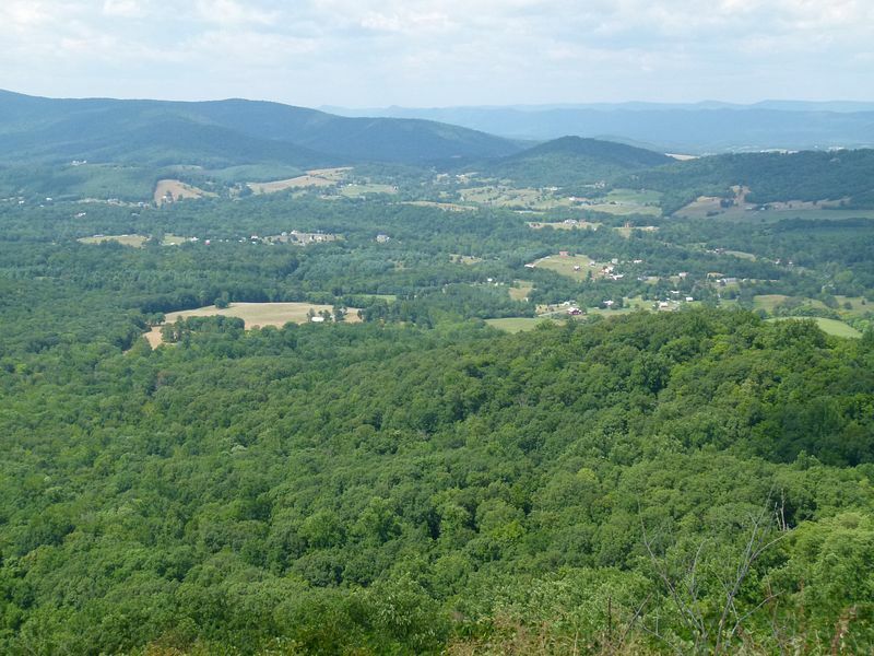 Click to See Next Image