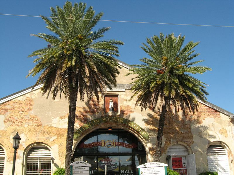 Click to See Next Image