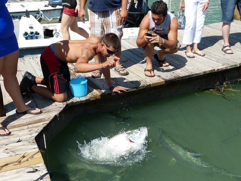 Click to See Next Image