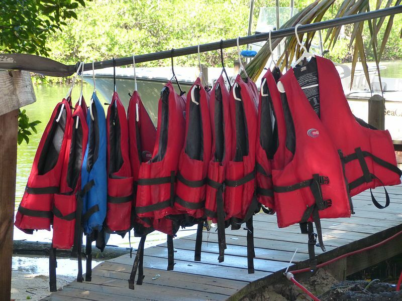 Click to See Next Image