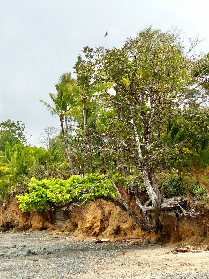 Click to See Next Image