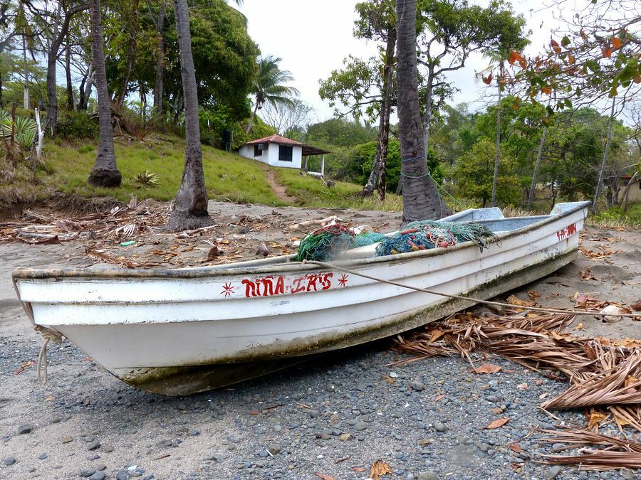 Click to See Next Image