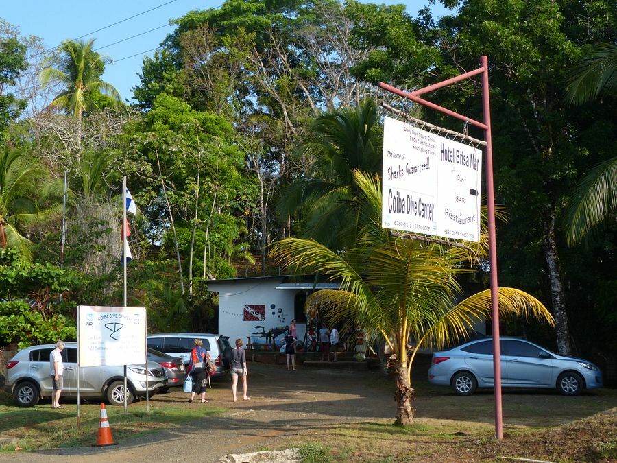 Click to See Next Image