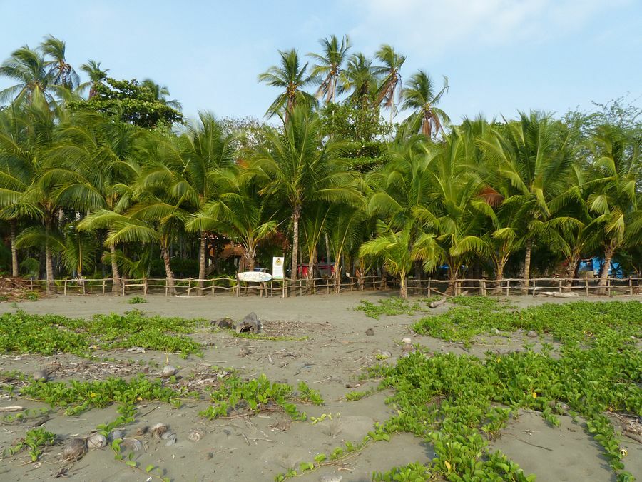 Click to See Next Image