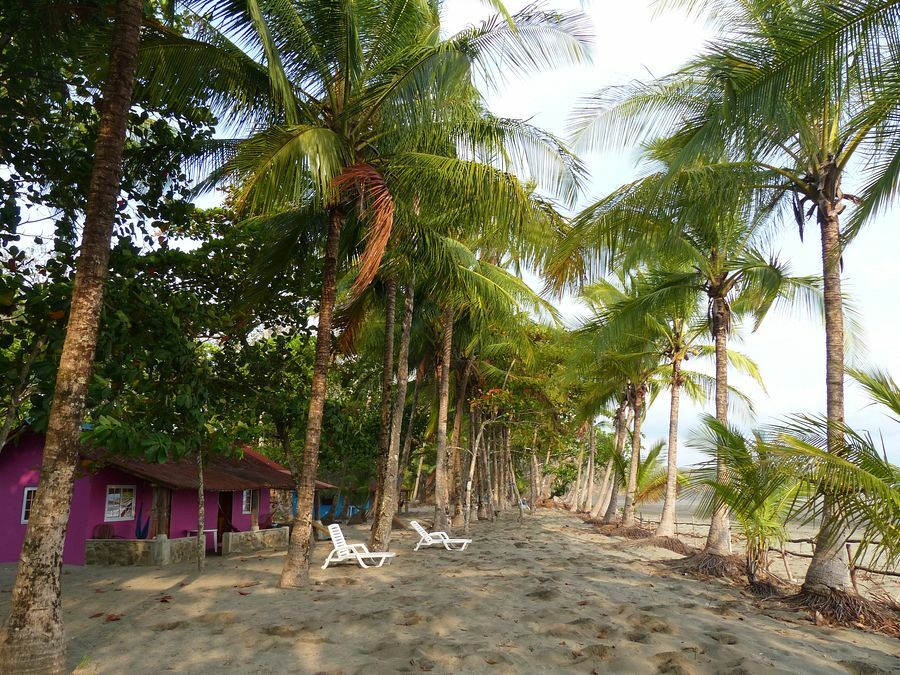 Click to See Next Image