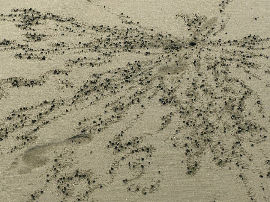 Click to See Next Image