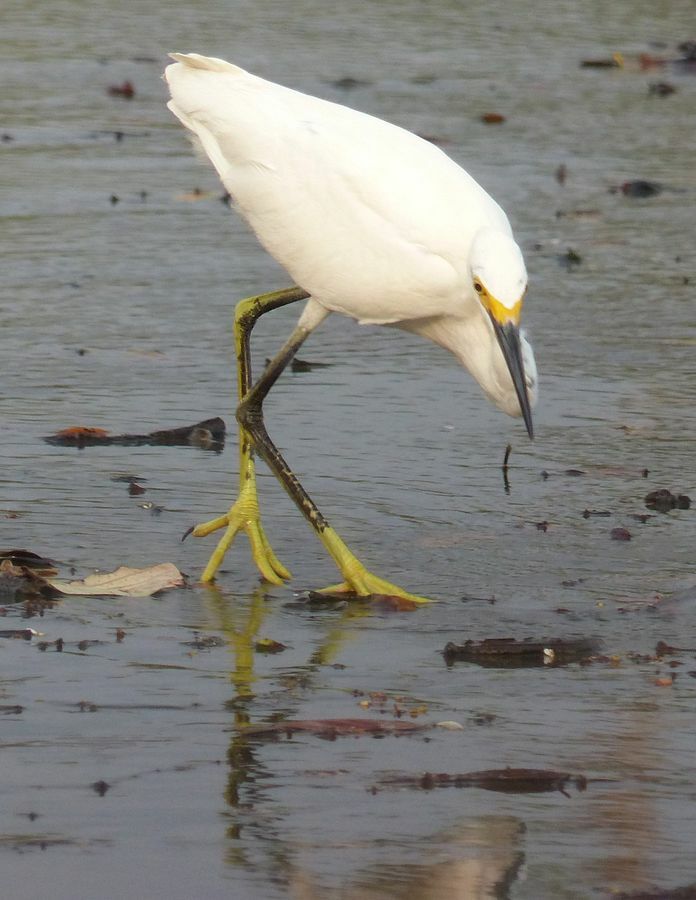 Click to See Next Image