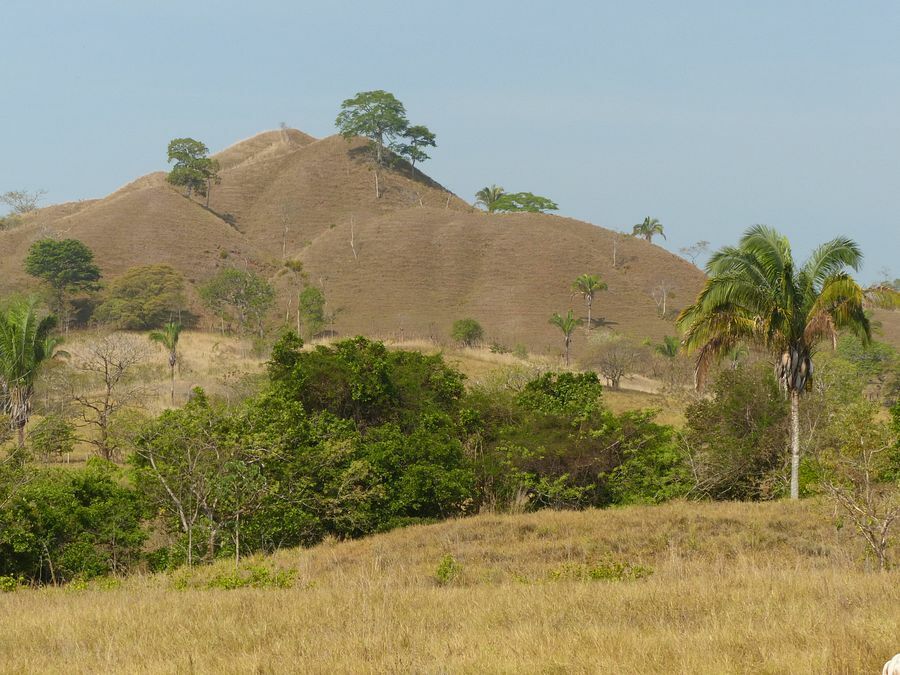 Click to See Next Image