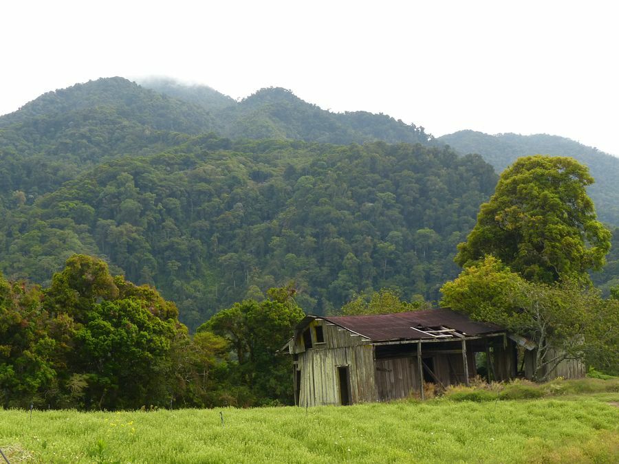 Click to See Next Image