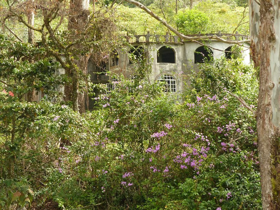 Click to See Next Image