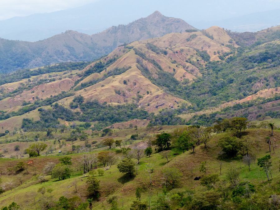 Click to See Next Image