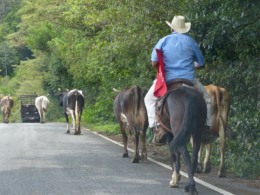 Click to See Next Image