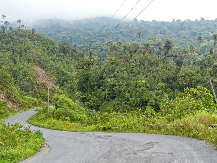 Click to See Next Image