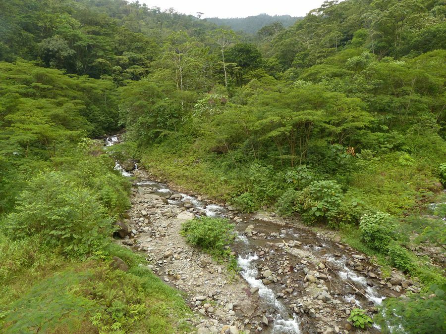 Click to See Next Image