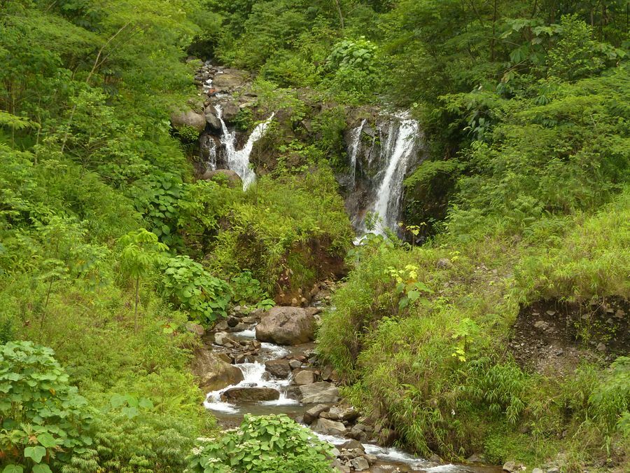 Click to See Next Image