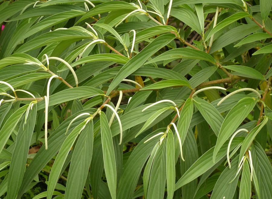 Click to See Next Image