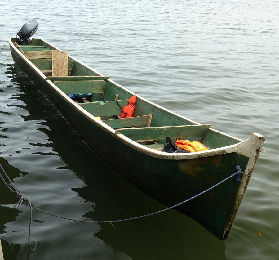 Click to See Next Image