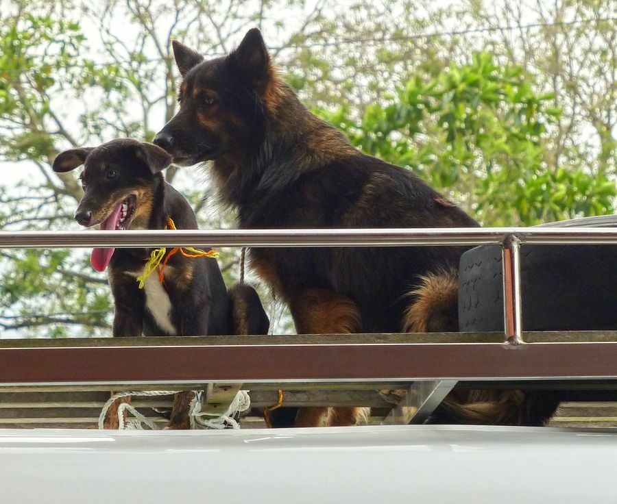 Click to See Next Image