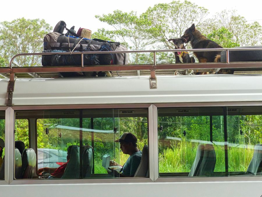 Click to See Next Image