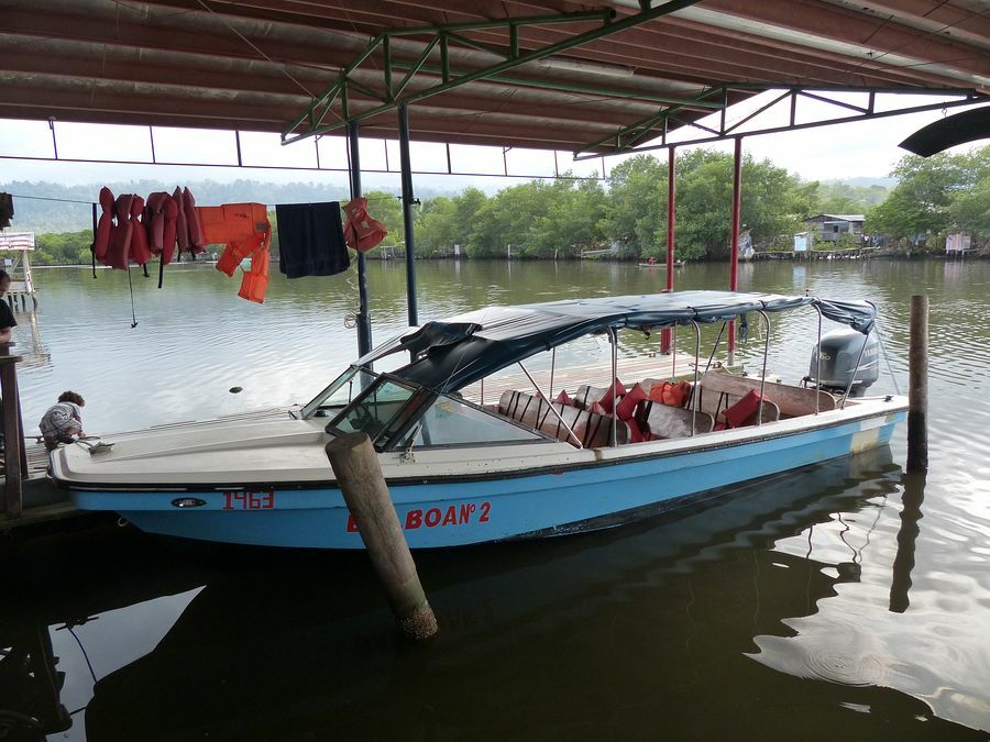 Click to See Next Image