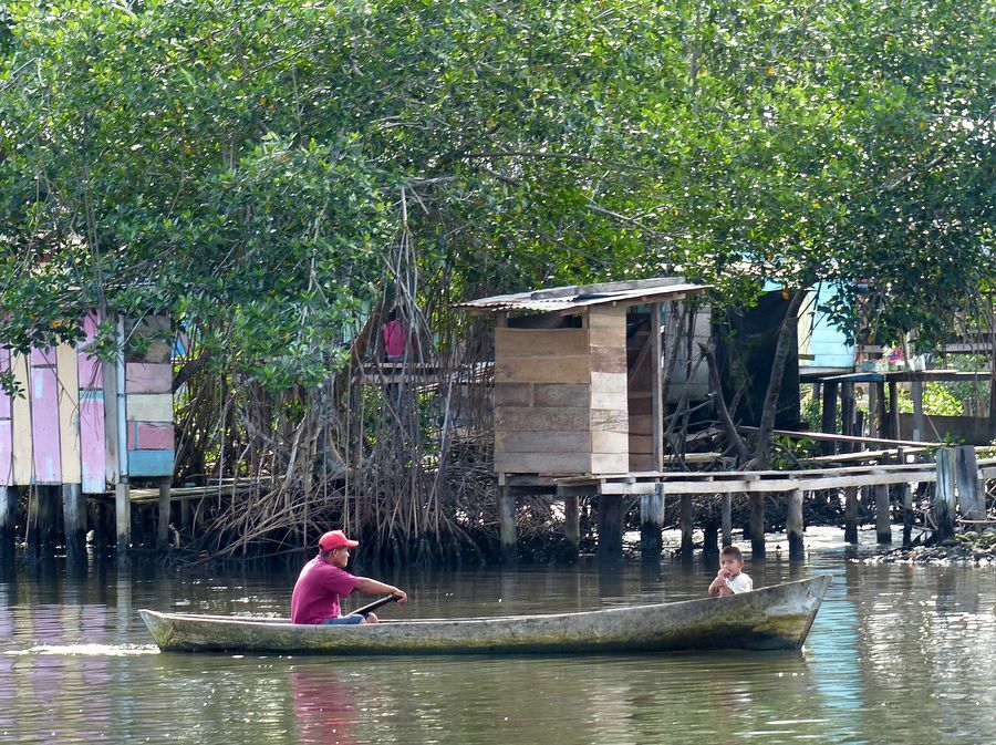 Click to See Next Image